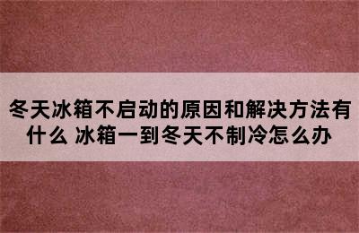 冬天冰箱不启动的原因和解决方法有什么 冰箱一到冬天不制冷怎么办